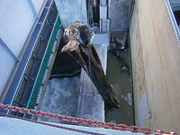 ������� ��� ����������