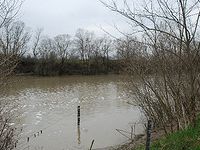 ������� ��� ����������