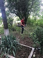 ������� ��� ����������