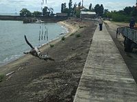 ������� ��� ����������